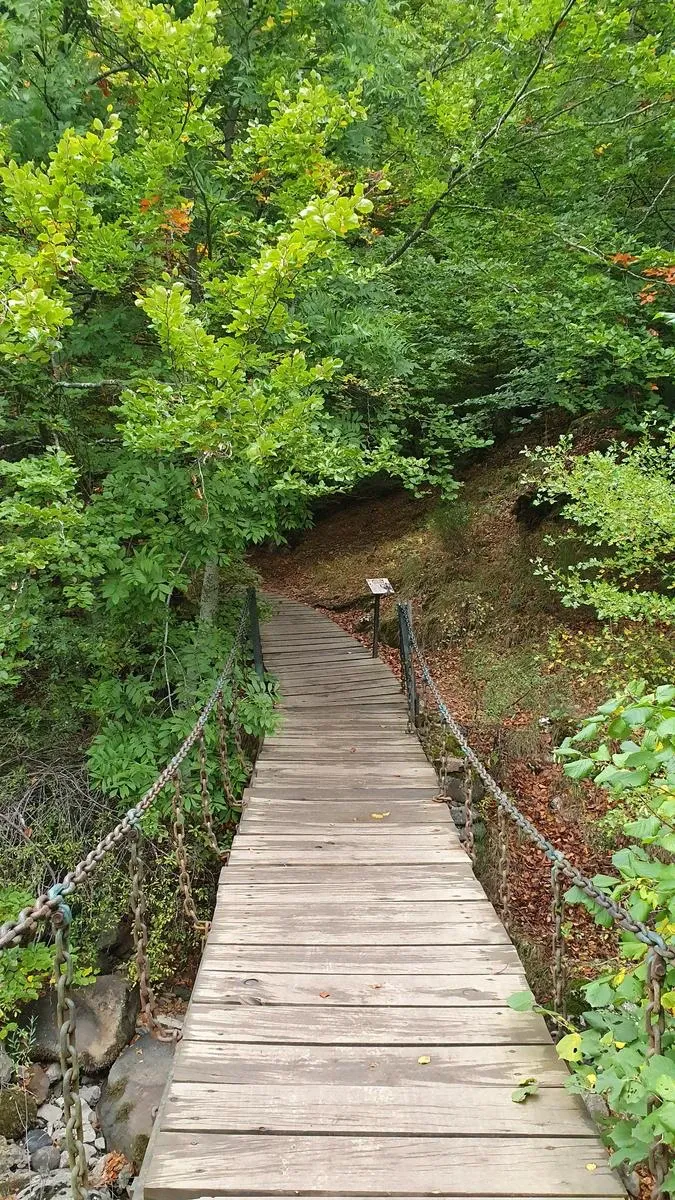 Faedo de Ciñera foto 3