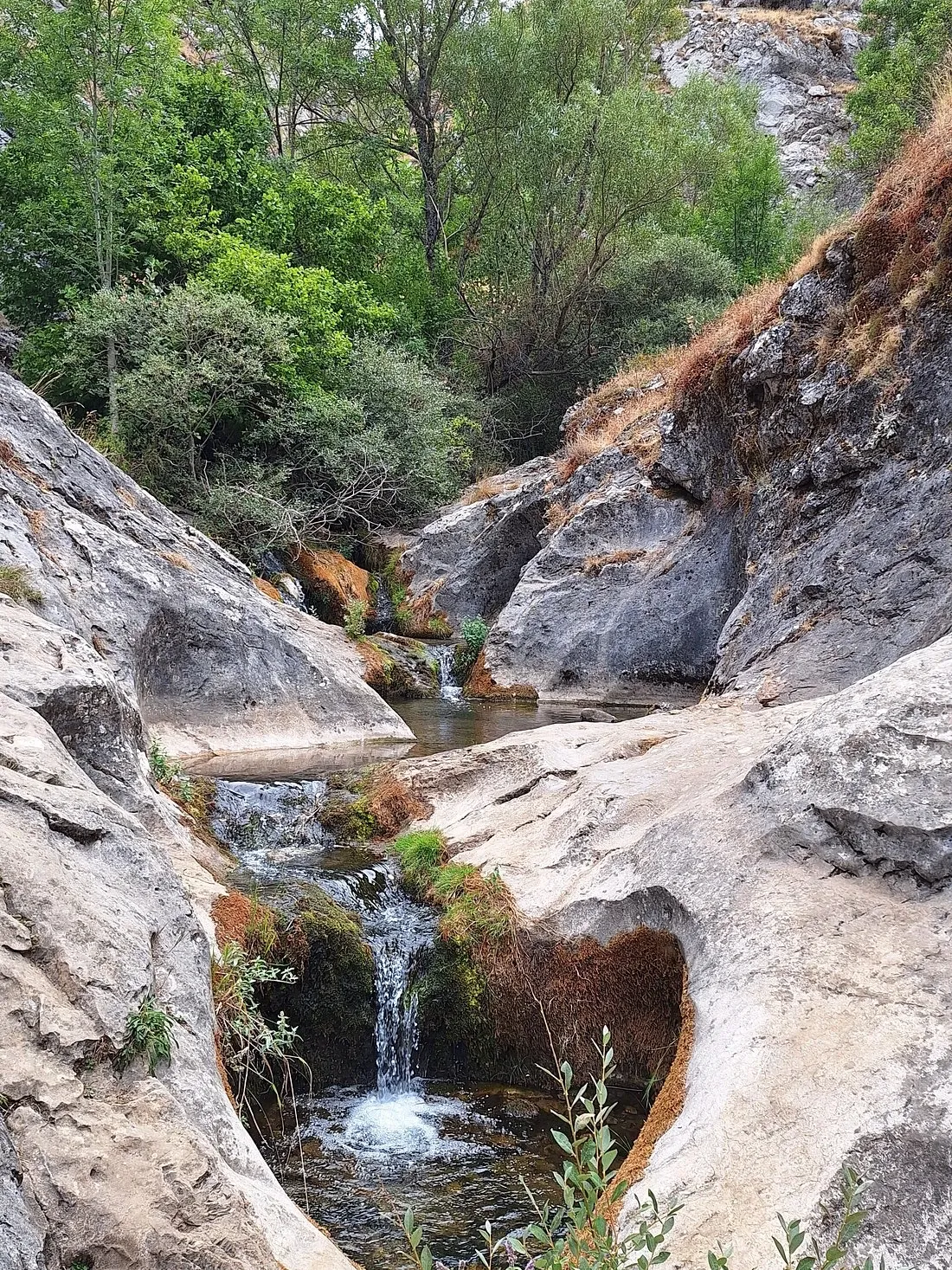 Pasarela de madera del Faedo de Ciñera