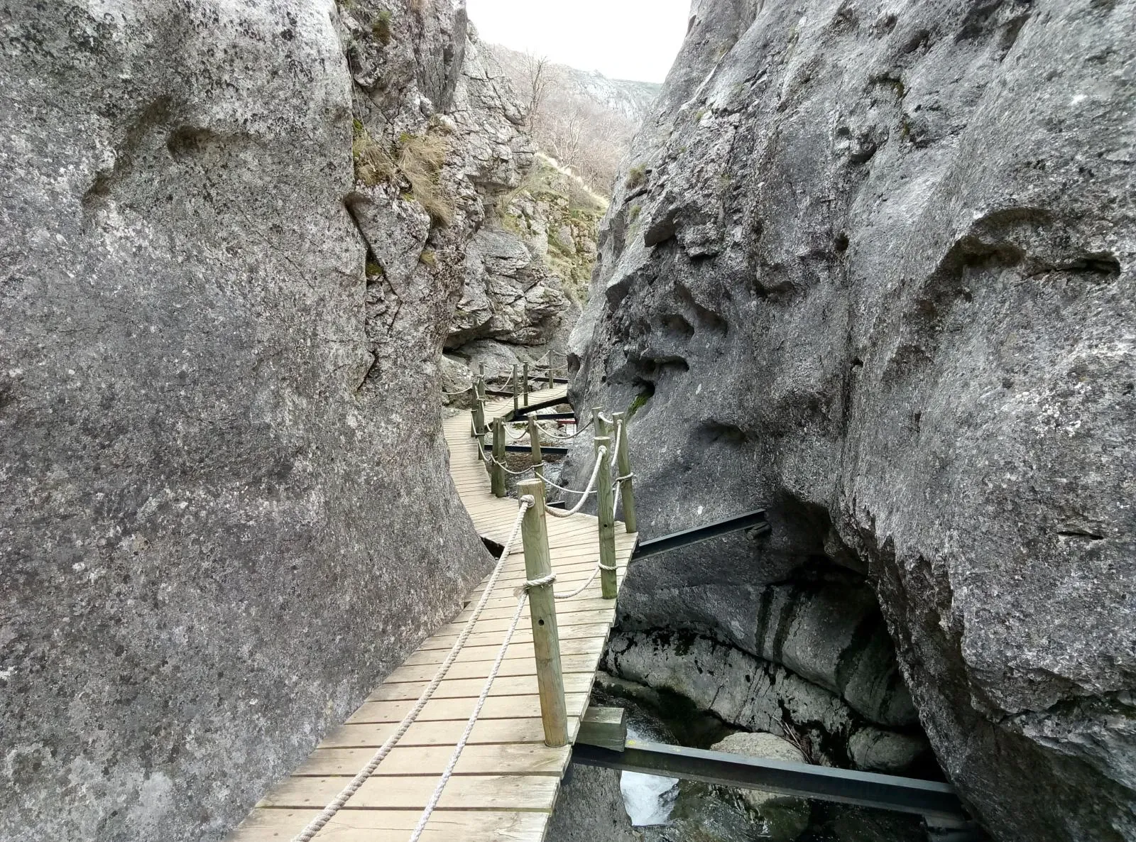 Faedo de Ciñera foto 15