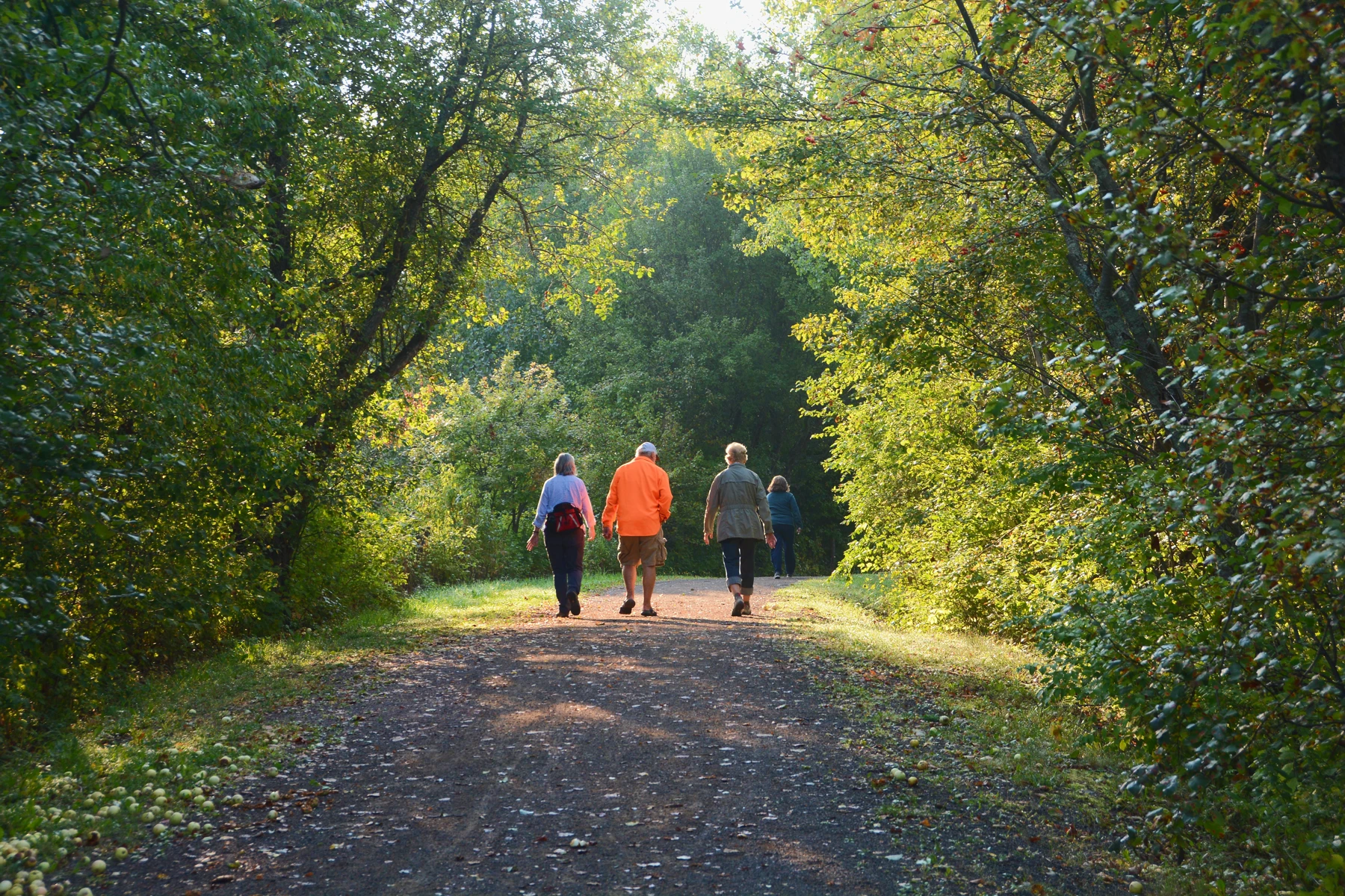 Guía para visitantes